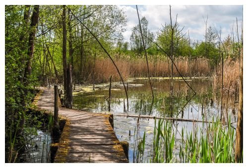 Центр природы «Biodiversum» откроет свои двери в марте